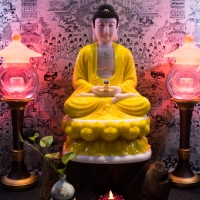 Tượng Phật A Di Đà Ngồi Đài Sen Áo Vàng Size 50cm 2