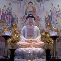 Tượng Phật A Di Đà Bột Đá Vẽ Màu Gấm Họa Tiết Vàng Cao Cấp 48cm8