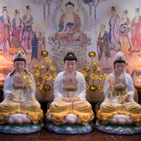 Mẫu Tôn Tượng Phật Tây Phương Tam Thánh TC1