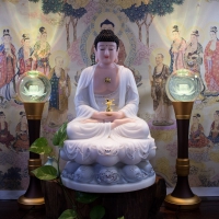 Mẫu Tượng Phật Dược Sư Đẹp Đá Xà Cừ 50cm1