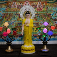 Tượng Phật A Di Đà Thân Vàng Đứng Tiếp Dẫn Lá Đề Nhỏ 19inch1