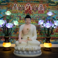 Tượng Đức Phật A Di Đà Ngồi Bột Đá Khoán Cao Cấp 50cm1