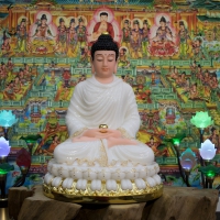 Tượng Phật Thích Ca Áo Viền Gấm Đài Sen Dát Vàng 40cm1