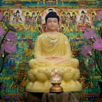 Tượng Phật Thích Ca Áo Cổ Kín Đá Thạch Anh Viền Vàng 48Cm 8