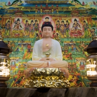Tượng A Di Đà Phật Đá Thạch Ngọc Đài Sen Dát Vàng Cao 40cm1 (1)
