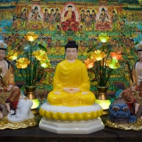 Phật Hoa Nghiêm Tam Thánh 50cm1