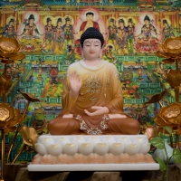 Phật Thích Ca Mâu Ni Thủ Ấn Hương Vị Pháp Bảo 40cm1