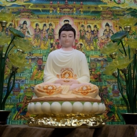 Tượng Phật Thích Ca Ngồi Tọa Thiền 40cm
