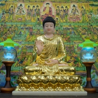 Tượng Phật Thích Ca thủ ấn giáo hóa xi vàng 48cm8